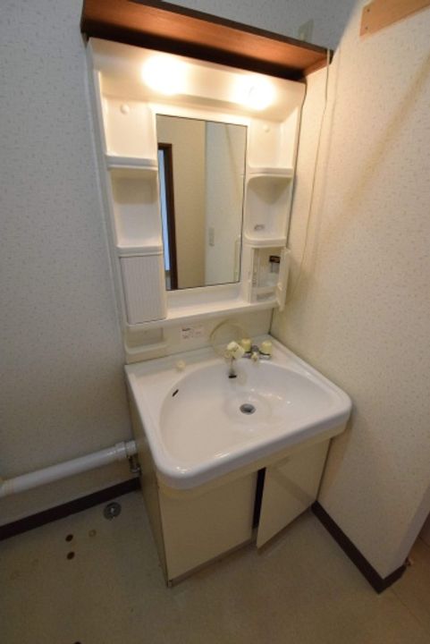 コスモスのその他画像