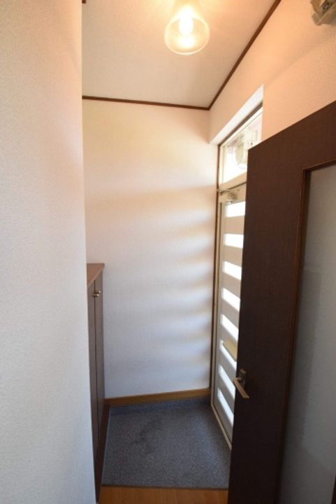 コスモスのその他画像