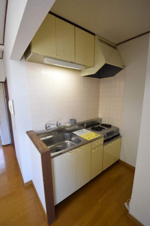 コスモスのその他画像