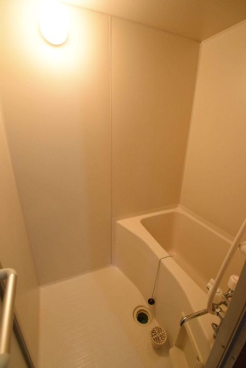 コスモスのその他画像