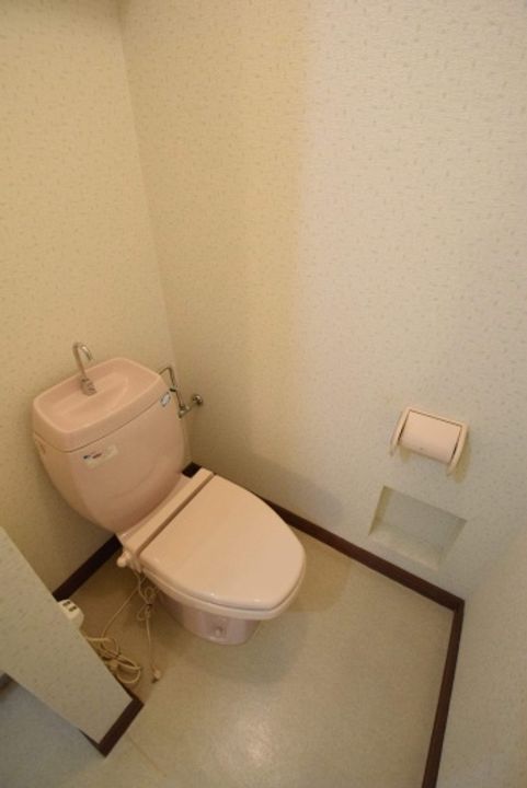 コスモスのその他画像