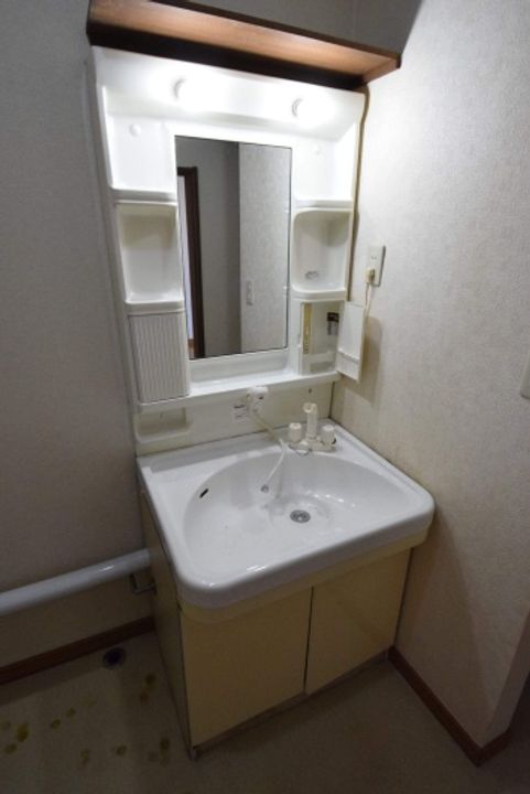 コスモスのその他画像