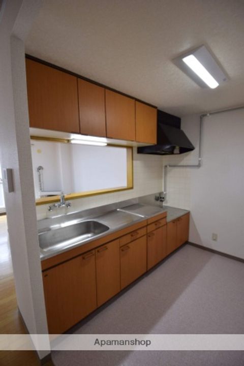 エスティ三番館3号館のキッチン
