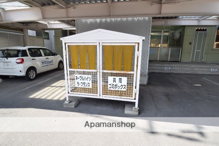 ラ・フランスのその他画像
