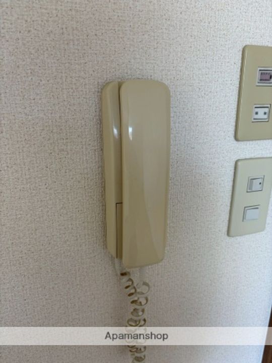 アポロのその他画像