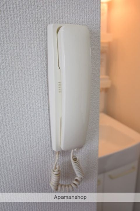 プルメリア2.1のその他画像