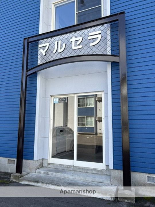 マルセラのその他画像