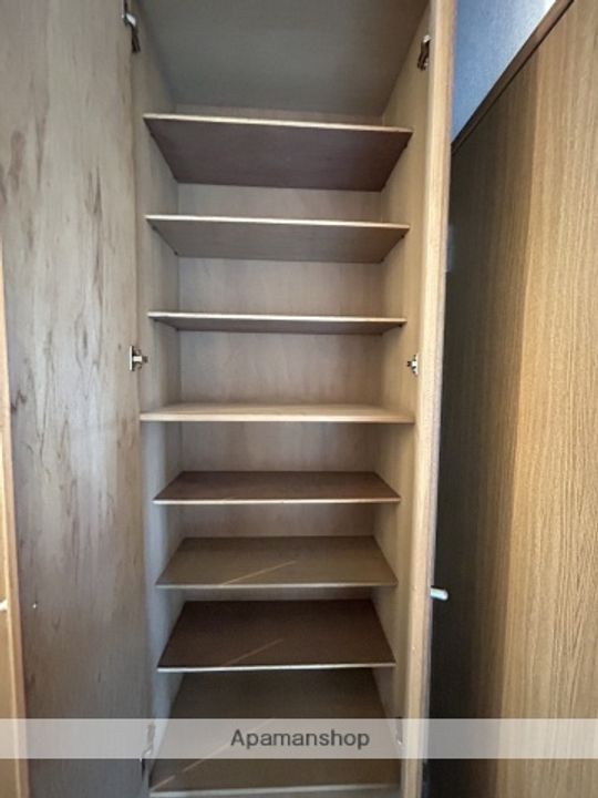 マルセラのその他画像