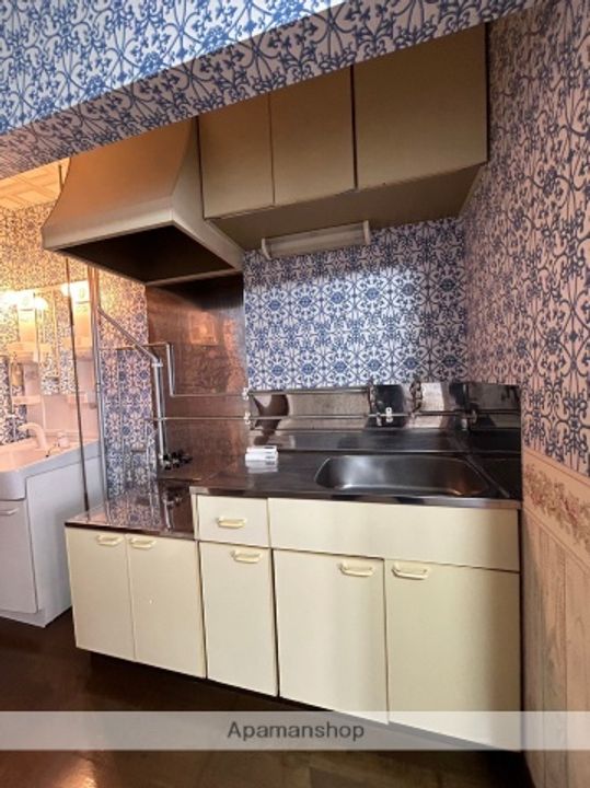 グラナダ75のキッチン