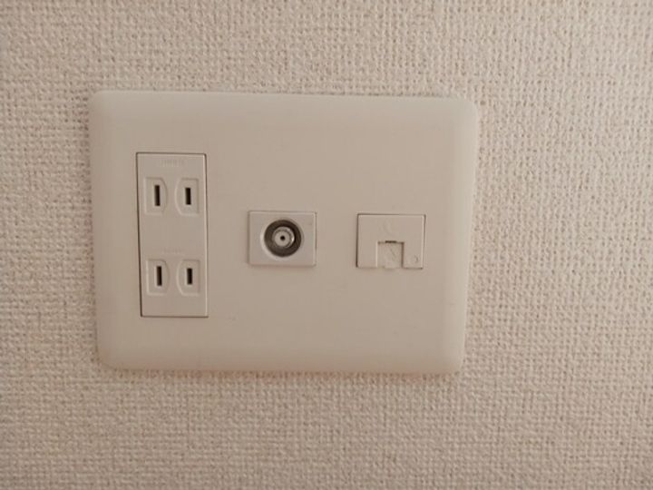 IVYのその他画像