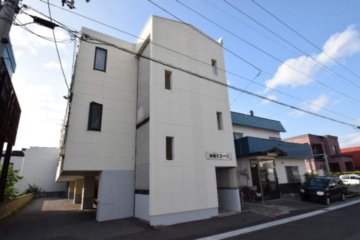 MSピエースの外観