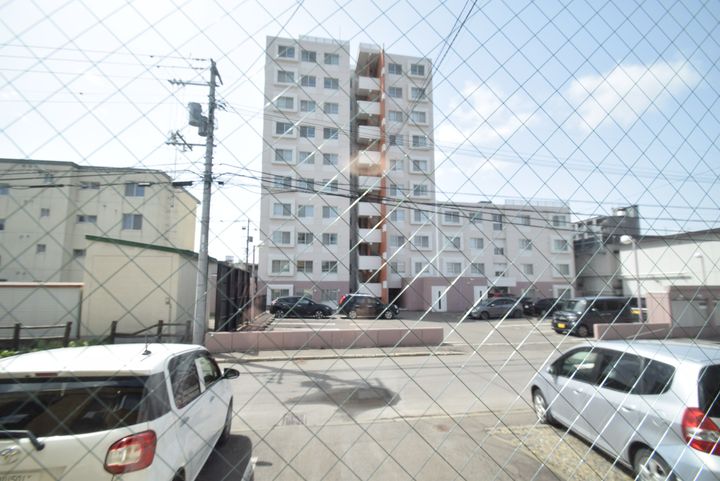 ロシュ7.1B105のその他画像