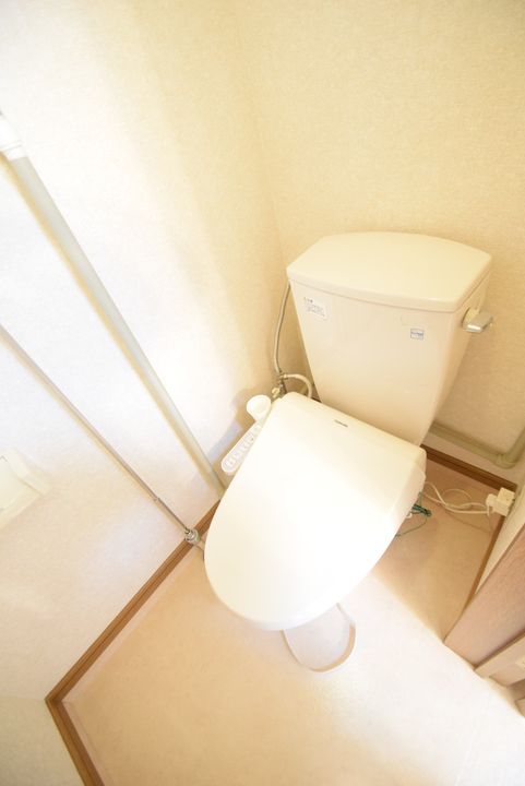 ロシュ7.1B105のその他画像