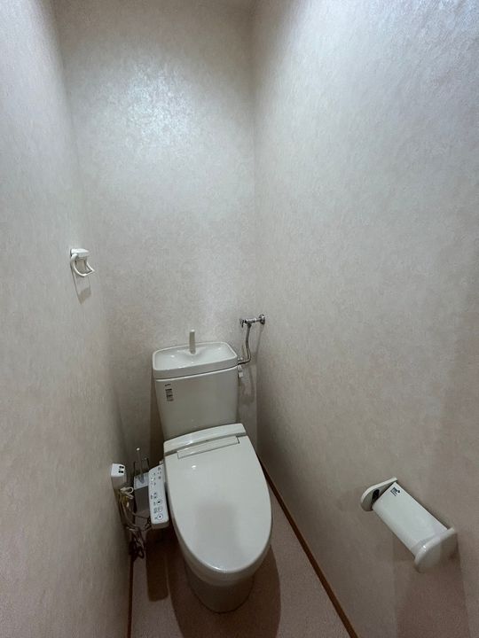 カリーナのその他画像