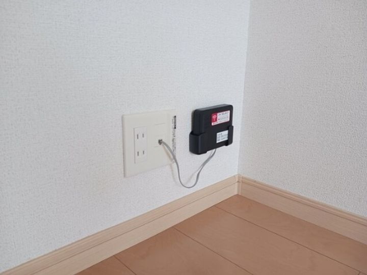 フランのその他画像