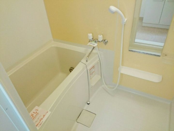 フランのその他画像