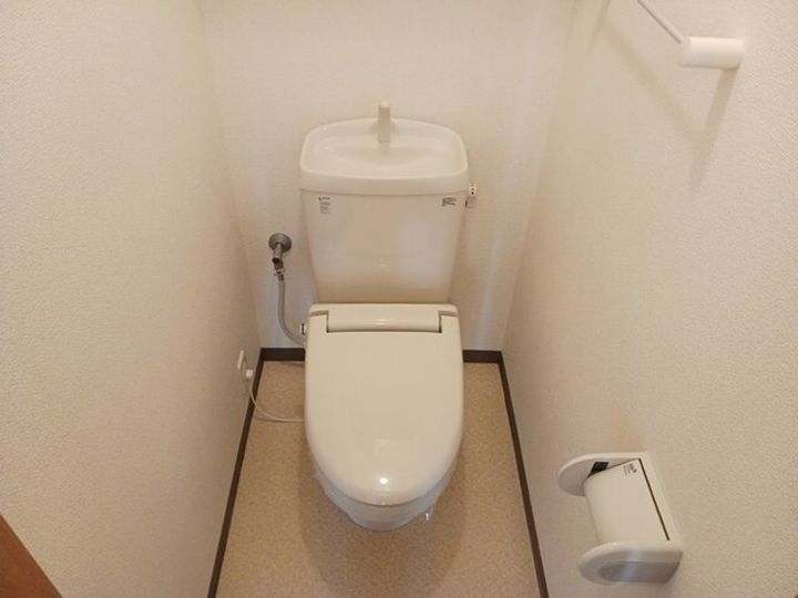 メゾンドソレイユのその他画像
