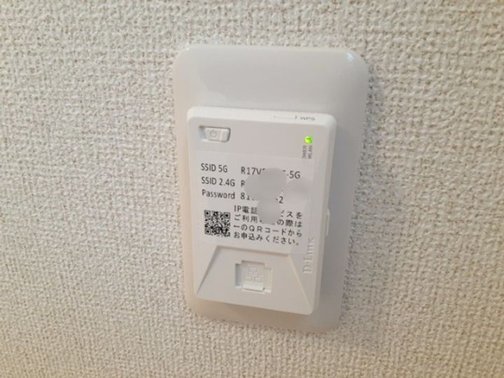 ティグレのその他画像