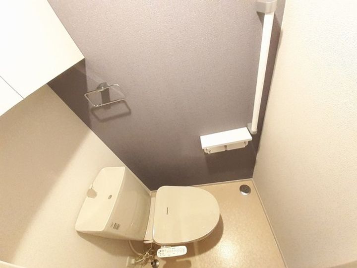 カーチスのその他画像