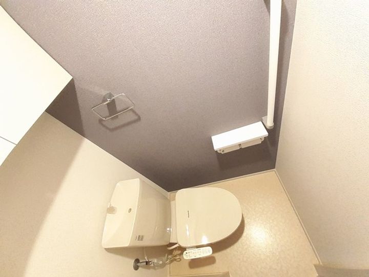 カーチスのその他画像