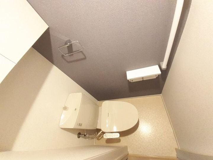 カーチスのその他画像