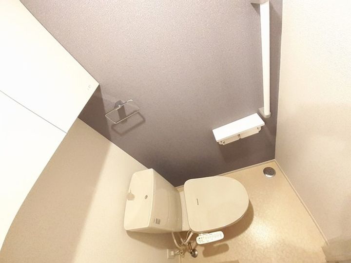 カーチスのその他画像