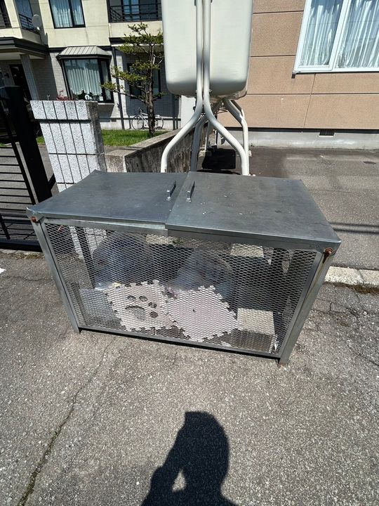 スターハイツ常磐公園1-Iの内装