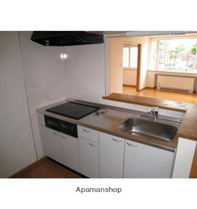 北海道札幌市厚別区厚別南6丁目の賃貸アパート101のキッチン