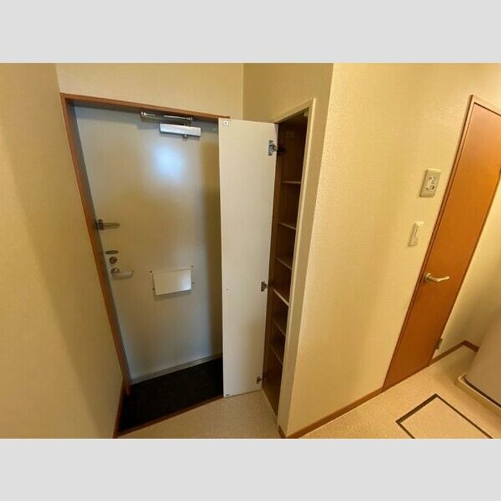 レオパレスカストル206の玄関