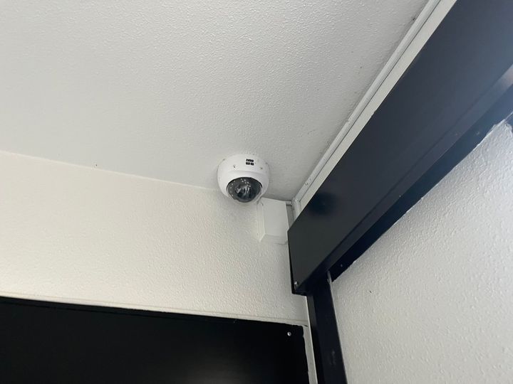 プリムラK2のその他画像