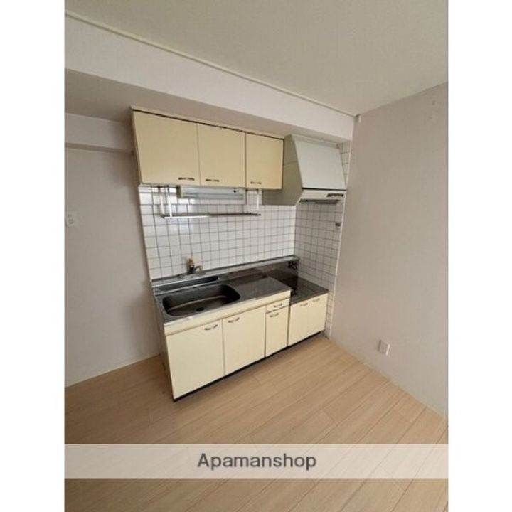 SHIBA BILD 2ND403のキッチン