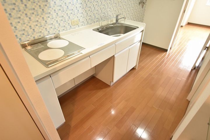 PALAZZO麻生Ⅱのキッチン