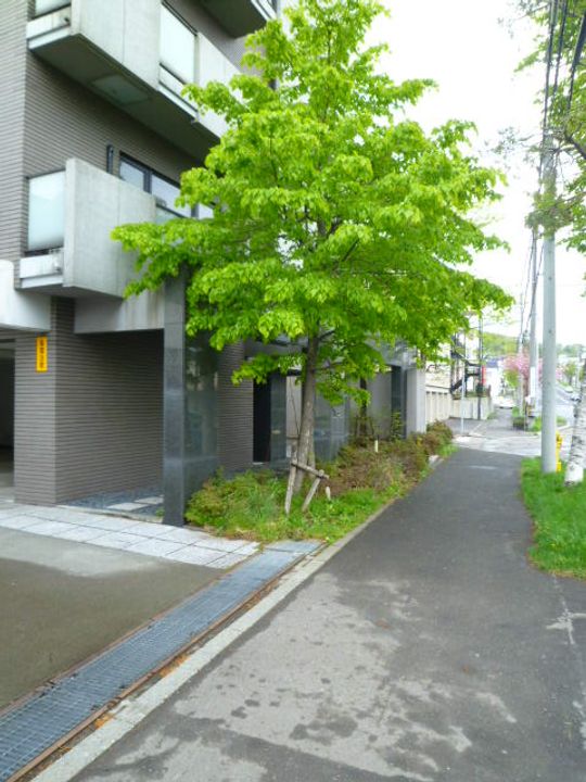 バーグレーブ山の手の外観