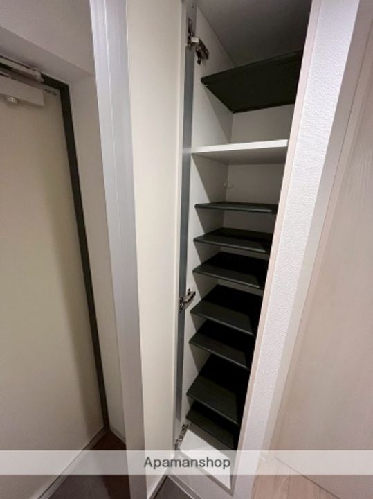 北海道札幌市西区西町北13丁目の賃貸マンションの内装
