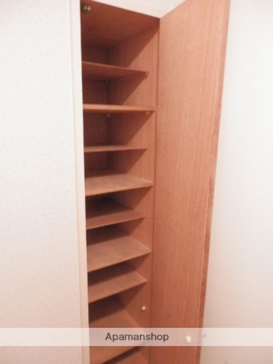 サントアリオデ本通南101のその他画像