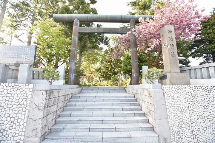 コスモス福井の周辺