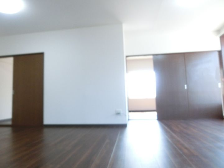 シャルレ172Ⅱ101の内装