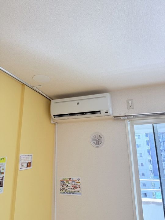 セントポーリアスィート0302のその他画像