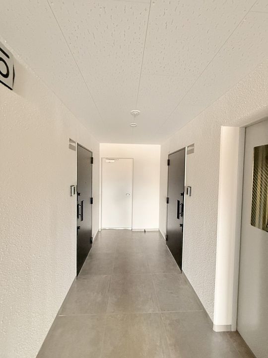 レブニーズ ザ・レジデンス 宮の森のその他画像