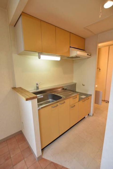 MTガーデン琴似IIのキッチン