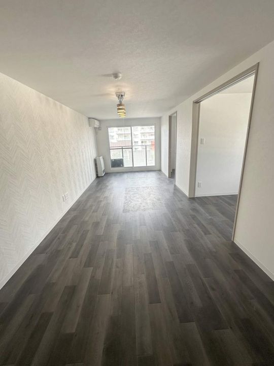 BRIGHTON COURT N20(ブライトンコートN20)405の居間