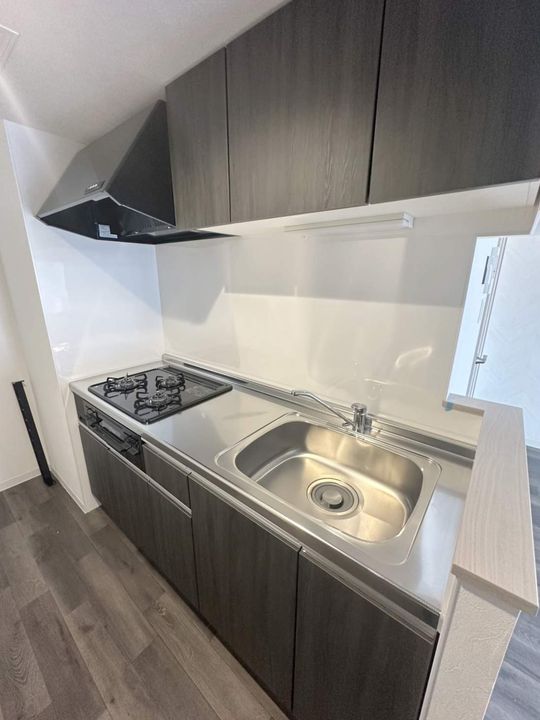 BRIGHTON COURT N20(ブライトンコートN20)405のキッチン