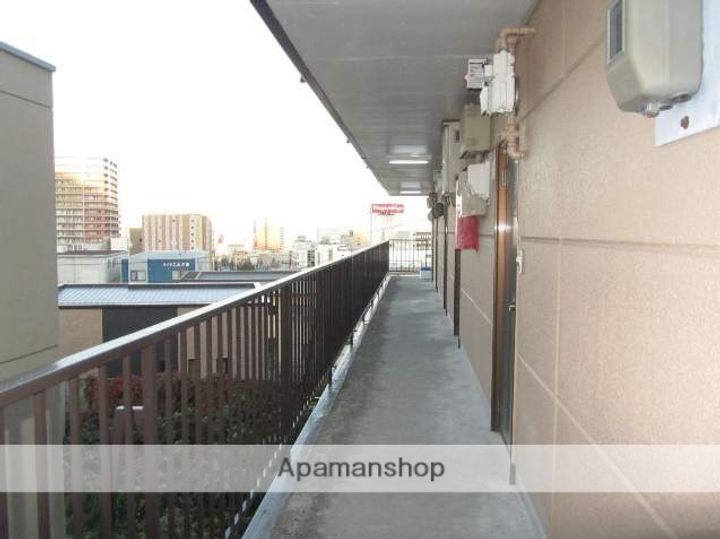 ロイヤルミドリ101208のその他画像