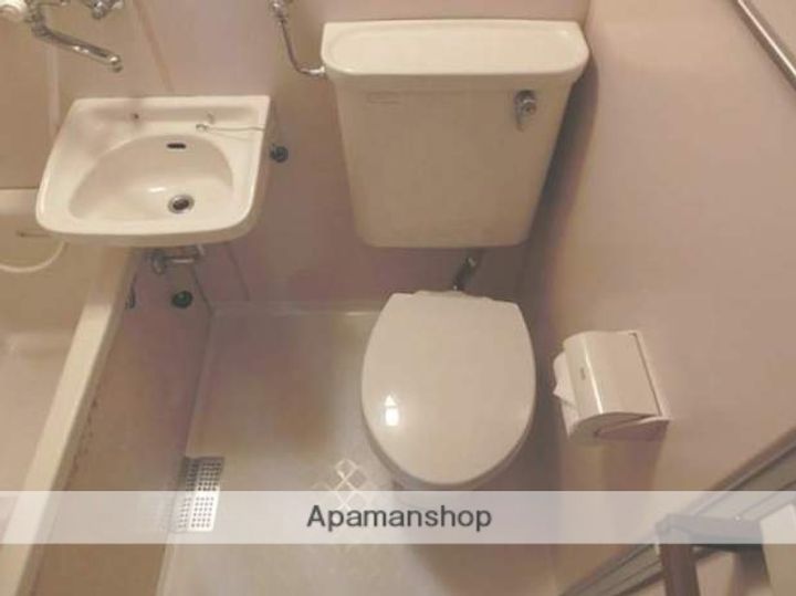 ロイヤルミドリ101208のその他画像