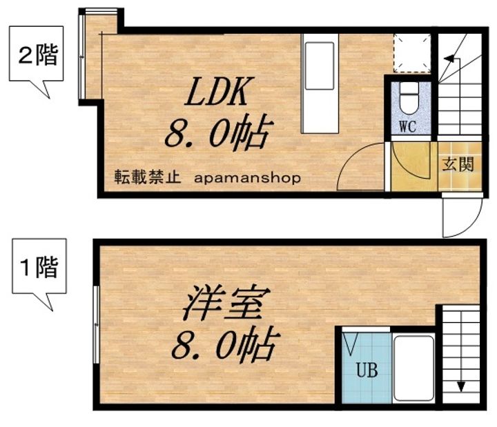 AMS新富C棟101の間取り