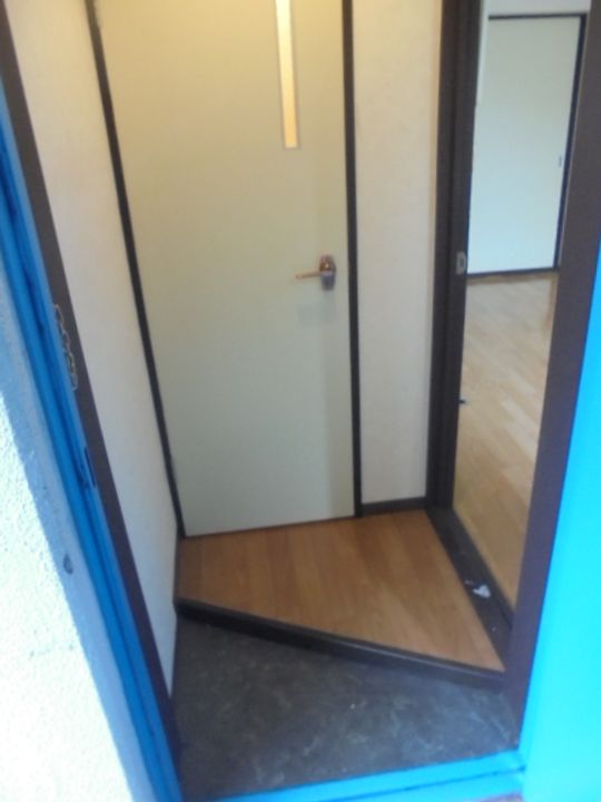 ハイムプロティア215の玄関