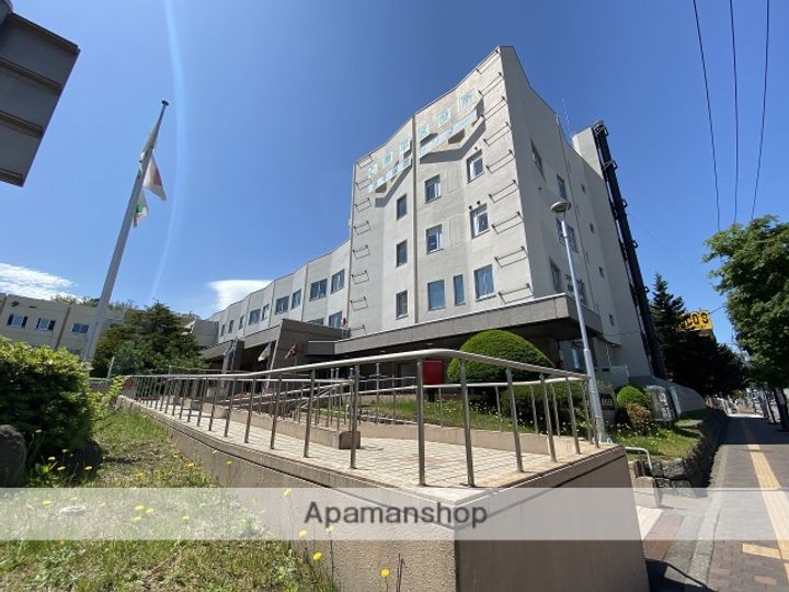 リラハイツ平岸803の周辺