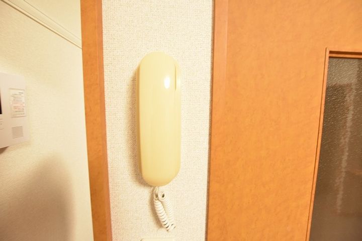 レオパレスエムスの内装