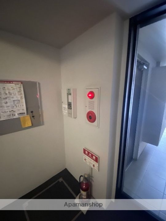 ラプレッツアグルーN12302のその他画像