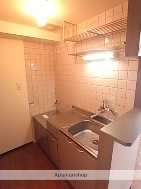 北海道札幌市中央区大通西24丁目の賃貸マンションのキッチン